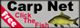 Carp badge